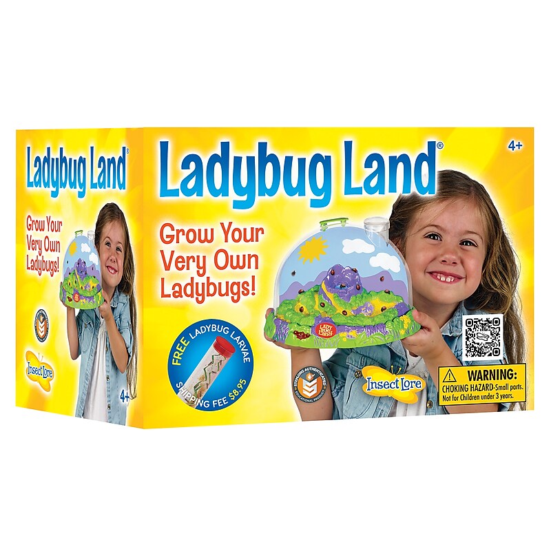 Insect Lore Ladybug Land Hatching Kit (ILP2100) image 1