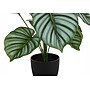 Monarch Specialties Inc. 24" Artificial Calathea Plant in Pot (I 9577)~#|#~910478F5-8931-446A-B8C53145B9E59A78_sc7