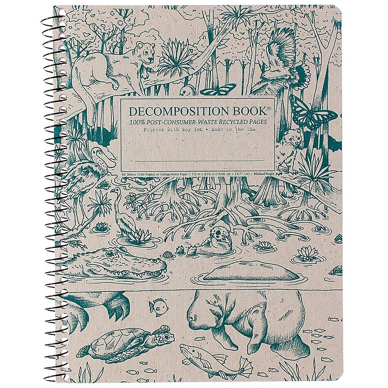 Decomposition Everglades 1-Subject Notebooks, College Ruled, 80 Sheets, Multicolored (16256) image 1