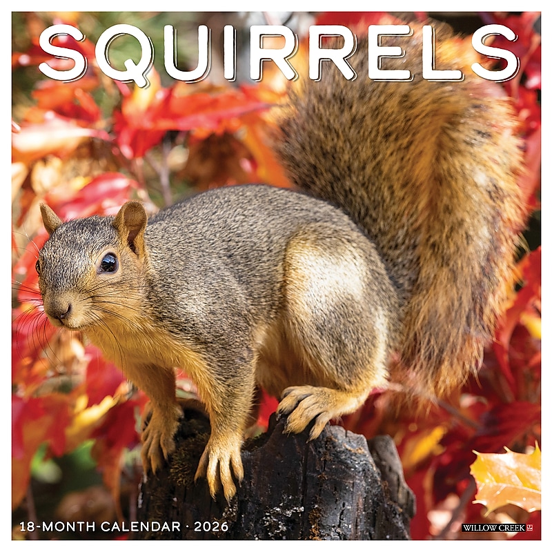 2026 Willow Creek Squirrels 12" x 12" Monthly Wall Calendar (52891) image 1