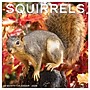 2026 Willow Creek Squirrels 12" x 12" Monthly Wall Calendar (52891)~#|#~915221BF-1EAD-4544-89ECF2170E46359B_sc7