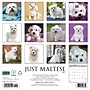2027 Willow Creek Maltese 12" x 12" Monthly Wall Calendar, Assorted Colors (61152)~#|#~91538E0B-6165-4270-8A3E7EB1CD9DB295_sc7