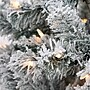 National Tree Company Acacia Artificial Christmas Trees (AC100-308-60F)~#|#~915490EC-0E8F-420C-80D871F82C75F5AD_sc7