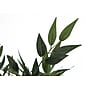 Monarch Specialties Inc. 47" Artificial Acacia Tree in Pot (I 9520)~#|#~916F3950-32CA-4179-A06FE8ACBAB42ACD_sc7
