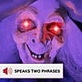 Haunted Hill Farm Lifesize Animatronic Witch (HHWITCH-51FLSA)~#|#~91735339-5F02-4BAD-8F3C3DC65E917523_sc7