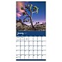 2027 TF Publishing Trees 10" x 12" Monthly Wall Calendar, Multicolored (27-1029)~#|#~9180D532-32C0-4E3A-BA3F102BAC4D5DA8_sc7