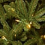 National Tree Company Natural Fraser Fir Artificial Christmas Tree (NAFFMH7-75LO)~#|#~91B5B1B3-8BA5-4A4B-BEC800528F7F09B4_sc7