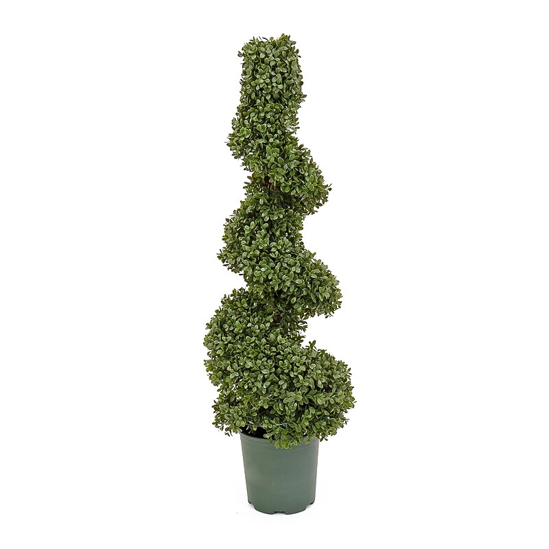 National Tree Company 44" Artificial Boxwood Spiral Topiary (LBXM63-800-44U) image 1