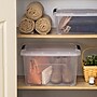 Iris 32 Quart Storage Container with Lid, Plastic, Clear, 4/Pack (500297)~#|#~91D6BDBD-BC1C-4C44-887FF23F1164F6C8_sc7