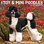 2026 Willow Creek Toy & Miniature Poodles 12" x 12" Monthly Wall Calendar (55588)~#|#~91DBF1BB-2F11-41ED-BABA27122FB02757_sc7