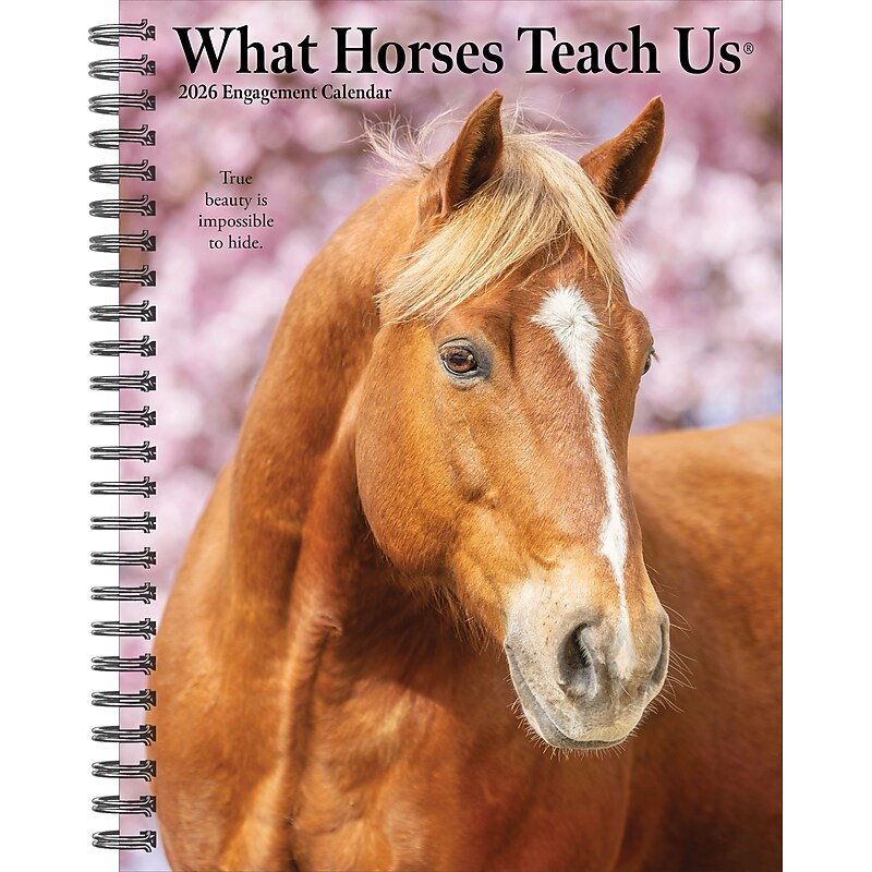 2026 Willow Creek What Horses Teach Us 6.5" x 8.5" Daily & Monthly Personal Organizer (54697) image 1