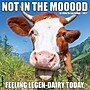 2027 Willow Creek Not in the Mooood 12" x 12" Monthly Wall Calendar (61558)~#|#~922BD38F-5788-48FE-B2BEA9F6EF884ECB_sc7