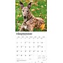 2026 BrownTrout Greyhounds 12" x 12" Monthly Wall Calendar (9798330703555)~#|#~925CAD97-0A9A-45E6-9554D33712610F3A_sc7