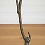 Nearly Natural 5' Autumn Maple Artificial Fall Tree in Pot, Yellow (T4839)~#|#~926E7C7B-7580-4656-838EDE46CE941A43_sc7
