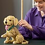 LEGO Icons Golden Retriever Puppy, 2102 Pieces (11384)~#|#~92792AAF-A89E-413D-B63E4C0B9165817B_sc7