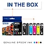 Epson T302XL/T302 Black High Yield and Cyan/Magenta/Yellow Standard Yield Ink Cartridge, 5/Pack (T302XL-BCS)~#|#~927B653B-3899-4843-AEEBD72136280509_sc7