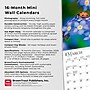 2026 BrownTrout Wildflowers 7" x 7" Monthly Wall Calendar (9798330706358)~#|#~928DE978-6B24-408E-90E5ADB3ACE985EB_sc7