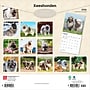 2026 BrownTrout Keeshonden 12" x 12" Monthly Wall Calendar (9798330704033)~#|#~929A6724-0ADB-41ED-9E5D4762D34143B6_sc7