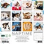 2027 Willow Creek Naptime: Dogs & Puppies on their Best Behavior 12" x 12" Monthly Wall Calendar (61411)~#|#~92AAC871-3245-4B36-9631F688A65A038D_sc7