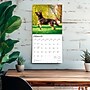 2026 BrownTrout Belgian Malinois 12" x 12" Monthly Wall Calendar (9798330707881)~#|#~92CB898F-21D9-44AE-851A528E8808EAB2_sc7