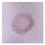 Quick Dam Acid Sorbent Pads, 4" x 10", 10/Pack (ACIDPAD10)~#|#~92F2D488-D6A1-434E-B9BB9AA7379FACDB_sc7