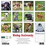 2027 Willow Creek Baby Animals 12" x 12" Monthly Wall Calendar (58954)~#|#~930C0617-7F2E-4F13-8192C8AED756EDBE_sc7