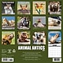 2027 Willow Creek Animal Antics 12" x 12" Monthly Wall Calendar, Assorted Colors (58787)~#|#~931620C0-437D-4888-AF33766587E42328_sc7