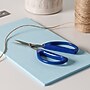 Joyce Chen Original Unlimited Stainless Steel Kitchen Scissor, Blue, 2/Pack (KCHZ09008)~#|#~931D05B0-3A1C-4016-95DABFC88DF1FDD1_sc7