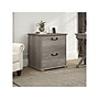 Bush Furniture Homestead 2-Drawer Lateral File Cabinet, Letter/Legal Size, Lockable, Driftwood Gray (HOF129DG-03)~#|#~93275832-5FAA-43F0-9340EAA1C87CCE3C_sc7