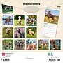 2026 BrownTrout Weimaraners 12" x 12" Monthly Wall Calendar (9798330706211)~#|#~9330B434-CF7A-46A6-96682FBC3656602F_sc7