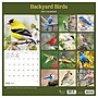 2027 TF Publishing Backyard Birds 12" x 11" Monthly Wall Calendar, Multicolored (27-1033)~#|#~9342E8F7-894C-4A2E-A5D464469C7CC7D7_sc7