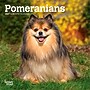 2027 BrownTrout Pomeranians 7" x 7" Monthly Wall Calendar (9798330710058)~#|#~9350FE2B-C75D-46BC-9B91849B1FCDBD5C_sc7