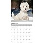 2027 Willow Creek 12" x 12" Monthly Wall Calendar, Assorted Colors (62869)~#|#~935EB2F6-654A-4395-9082CCBA691DA645_sc7