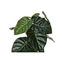 Monarch Specialties Inc. 24" Artificial Alocasia Plant in Pot (I 9578)~#|#~93713978-0057-4BF3-BBD1027EF3407B34_sc7