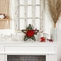 Nearly Natural Holiday Christmas Poinsettia Star Twig Wreath, 16" (W1319)~#|#~937A0674-B87B-4930-B186A1E6B117DB14_sc7