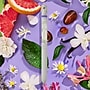 Lifelines In Bloom Essential Oil Blends Pen Diffuser (11-2501)~#|#~93A3E3B5-2FD1-4A3C-93D412638BEDFADA_sc7