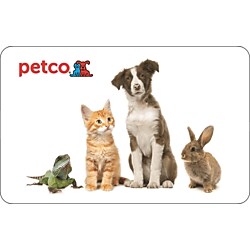 Pet Supplies