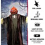 Haunted Hill Farm Life-Size Poseable Pumpkin Scarecrow (HHPUMP-4FLS)~#|#~93C13333-09FE-4D1D-84B4317B1780D1B8_sc7