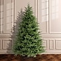 National Tree Company Frasier Grande Artificial Christmas Tree (PEFG3-500-75)~#|#~93C1AD07-C930-4706-A42A218BDE624F22_sc7