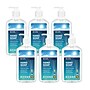 ECOS PRO Free & Clear Liquid Hand Soap, 17 oz., 6/Carton (EOPPL96636)~#|#~93E350E2-ED4D-4EC2-870C5A9ECFE93439_sc7