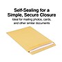 Staples Self Seal Kraft Catalog Envelopes, 9.5"L x 12.5"H, Brown, 100/Box (SPL381962)~#|#~94015978-EB59-48E9-925D68D69797573C_sc7