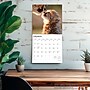 2026 BrownTrout Baby Animals 12" x 12" Monthly Wall Calendar (9798330702244)~#|#~9403A2D5-D9AA-4F74-A98B8911614244D3_sc7