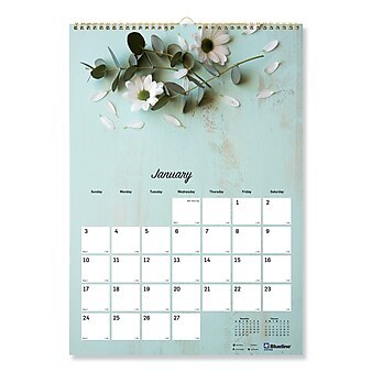 Brownline 2023 Calendars | Staples