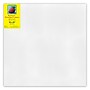 Strathmore 300 Series Primed White Stretched Canvas, 20" x 20", (STT31302)~#|#~94249B27-4C60-410E-976928B426C81731_sc7
