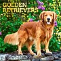 2026 BrownTrout Golden Retrievers 12" x 12" Monthly Wall Calendar (9798330703494)~#|#~94301147-7A67-42D0-99EDB3F319D00CE2_sc7