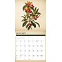 2027 Willow Creek Farmer's Market  12" x 12" Monthly Wall Calendar (60216)~#|#~94324E63-0968-4358-82B5749CE702B5B8_sc7