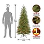 National Tree Company Dunhill Fir Artificial Christmas Tree (DUSLH1-65RLO)~#|#~94359A96-2AB3-4E8D-9448A1351BC7AE9A_sc7