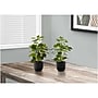 Monarch Specialties Inc. Ficus Elastica in Pot, 2/Pack (I 9585)~#|#~943632FF-22AE-4F98-BF0DF3E6B04DDD30_sc7