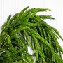 Nearly Natural Artificial Real Touch Norfolk Island Pine Garland, 10' (W1402)~#|#~9437E661-E7EB-46B3-9A941FE16B4BAABE_sc7