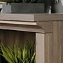 Sauder Select 30"H 2-Shelf Bookcase, Salt Oak (420179)~#|#~943EEC3F-F768-44A1-9685B31A5E8C5162_sc7